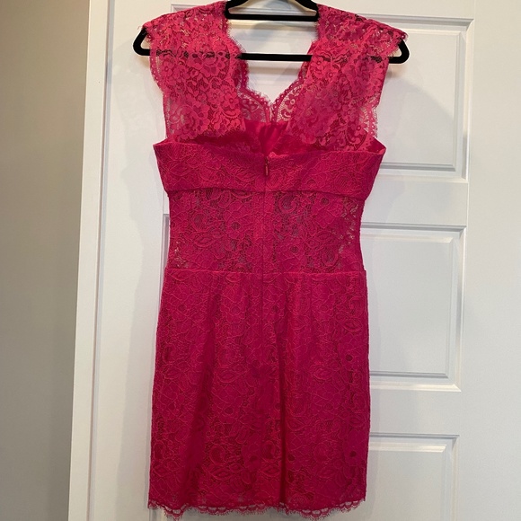 BCBG Maxazria devon begonia lace cocktail dress Sz4 - Picture 4 of 9